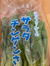 JA愛知 愛知県産福井さんちのチンゲン菜 1P