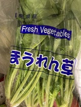 関根 ほうれんそう 1P