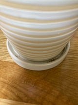 エイチ・ツー・オー パステルホルベ ホワイト S