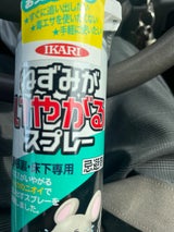 イカリ ねずみがいやがるスプレー 320ml