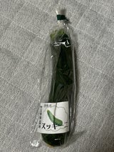JA紀の里 ズッキーニ 1P