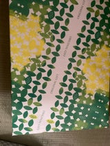 片山食品 フルーツゼリー贈り物 VIC-30