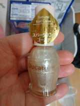 デュカート ナチュラルネイルカラーN 10
