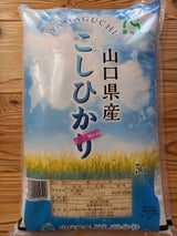 瑞穂 新米 山口コシヒカリ 5kg