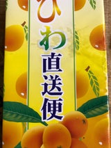 安田 びわ直送便 13個