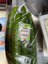 全農えひめ きゅうり 袋 3本