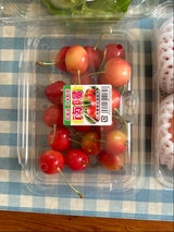 ヨドヤ さくらんぼ南陽北海道仁木町 1P