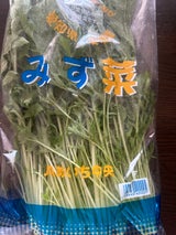 JAあいち みずな 1P