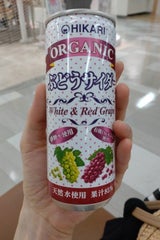 光食品 OGぶどうサイダー+レモン 250ml