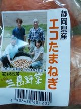 JA静岡 青島みかん 1kg