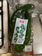 香貴 ふぞろいのきゅうり漬 3本