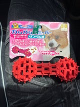 DM カムガムアミーバー ダンベル M