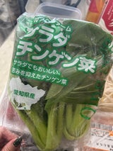 ベルグリーン サラダチンゲン菜ロール 1P
