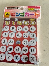 山野紙業 ビンゴカード Aタイプ 60枚