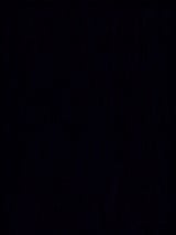 壮関 麻辣茎わかめ 16g