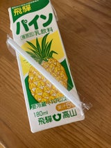 飛騨 パイン 紙パック 180ml