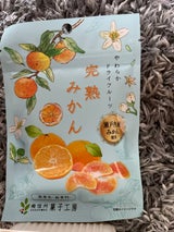南信州菓子工房 完熟みかん 24g