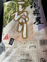 糧販 新潟産 こしひかり 5kg