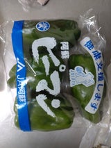 JA阿蘇 ピーマン