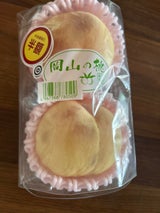 精工 もも岡山県産用袋 1P