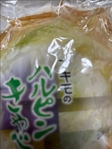栃木秋本 ハルピンキャベツ漬物