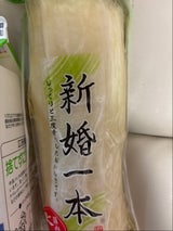 塩野 新婚 一本