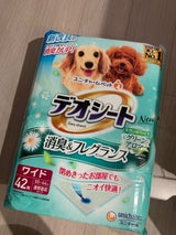 デオシート グリーンアロマ ワイド 42枚