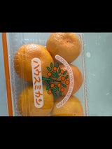 信和 ハウスミカン用袋