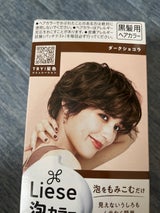 リーゼ 泡カラー ダークショコラ 108ml