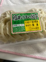 宇都宮 福井のうまい餃子 10個