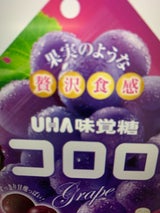 味覚糖 コロロ巨峰 48g