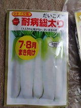 アタリヤ だいこん耐病総太り 1P