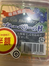 プランツ ブルーベリー 100g