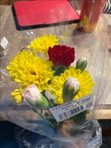 メルシー 切花500 1P