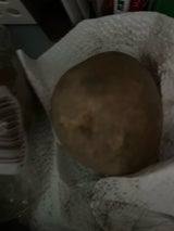 片山 男爵芋L 650g