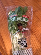 KOC 特別栽培宮崎さんのサラダ水菜 100g