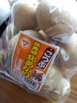 マルマ 北あかり 小粒