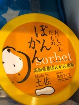 高知アイス ぽんかんシャーベット 115ml