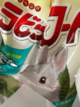 動物村 ラビットフード チモシー 4.5kg