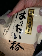 山城屋 香川県産はったい粉 100g