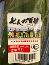 丸果会津青果 有機野菜 きゅうり 3本