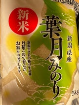 新潟ケンベイ 新潟県産葉月みのり 5kg