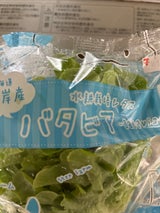 スター リーフレタス 1P