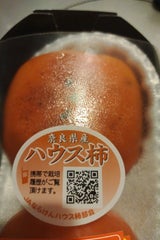 JA奈良 ハウス柿大 2P