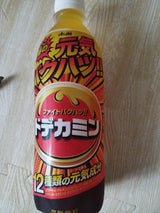アサヒ ドデカミン PET 500ml
