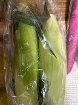 井口 揖保乃糸素麺上級5束 250g