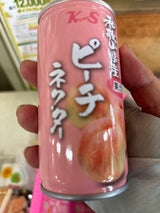 紀州食品 ピーチネクター 190g