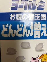 トーラス ヨーグル2 善玉菌 30g