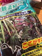 センターバレイ えいようくん 観葉 200g