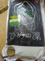 ひめの凛プレミアムクオリティ 愛媛県産 5kg